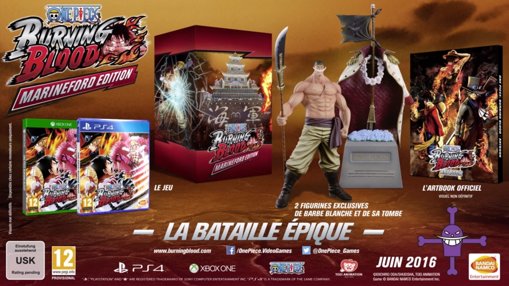 One Piece Burning Blood Collector Edition